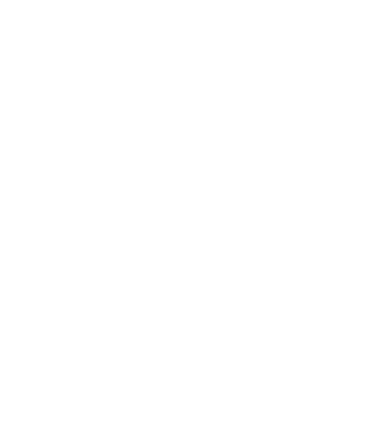 "Tornado" krepšinio mokykla